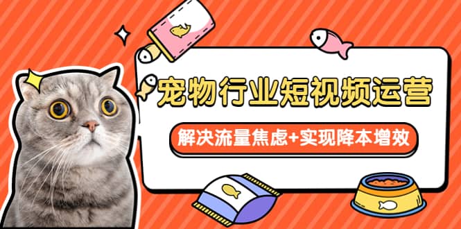 宠物/行业短视频运营 流量增长的一层窗户纸 解决流量焦虑+实现降本增效即刻搞钱-网创项目资源站-副业项目-创业项目-搞钱项目即刻搞钱