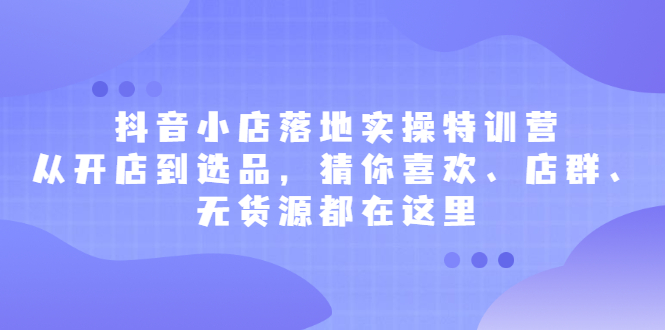 抖音小店落地实操特训营，从开店到选品，猜你喜欢、店群、无货源都在这里即刻搞钱-网创项目资源站-副业项目-创业项目-搞钱项目即刻搞钱