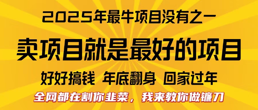 全网都在割你韭菜，我来教你做镰刀。卖项目就是最好的项目，2025年最牛互联网项目即刻搞钱-网创项目资源站-副业项目-创业项目-搞钱项目即刻搞钱