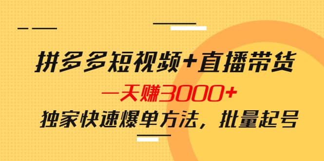 拼多多短视频+直播带货，一天赚3000+独家快速爆单方法，批量起号即刻搞钱-网创项目资源站-副业项目-创业项目-搞钱项目即刻搞钱