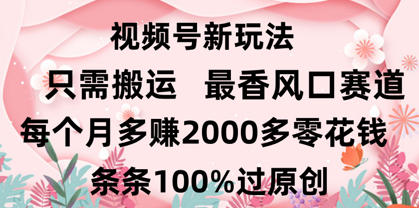 日入2000+，条条100%过原创，视频号最香风口赛道，小白轻松上手即刻搞钱-网创项目资源站-副业项目-创业项目-搞钱项目即刻搞钱