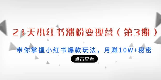 21天小红书涨粉变现营（第3期）：带你掌握小红书爆款玩法，月赚10W+秘密即刻搞钱-网创项目资源站-副业项目-创业项目-搞钱项目即刻搞钱
