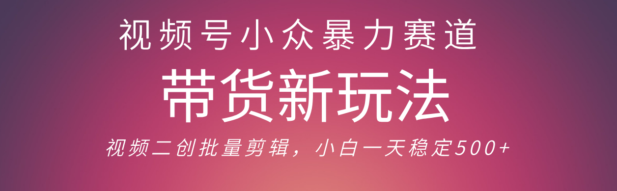 视频号小众暴力赛道，最新带货玩法 小白也能轻松日入500+ 保姆及教程即刻搞钱-网创项目资源站-副业项目-创业项目-搞钱项目即刻搞钱