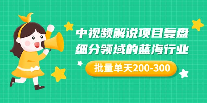 某付费文章：中视频解说项目复盘：细分领域的蓝海行业 批量单天200-300收益即刻搞钱-网创项目资源站-副业项目-创业项目-搞钱项目即刻搞钱