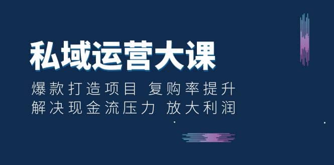 私域运营大课：爆款打造项目 复购率提升 解决现金流压力 放大利润即刻搞钱-网创项目资源站-副业项目-创业项目-搞钱项目即刻搞钱