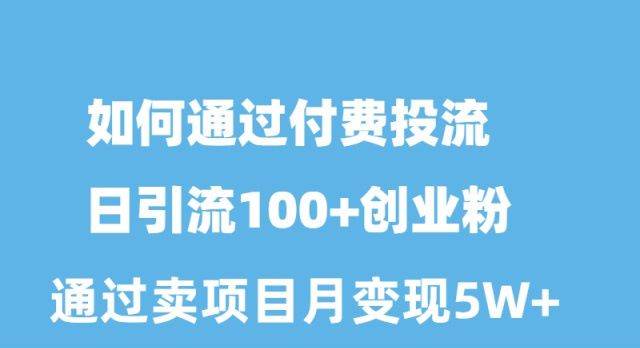 如何通过付费投流日引流100+创业粉月变现5W+即刻搞钱-网创项目资源站-副业项目-创业项目-搞钱项目即刻搞钱