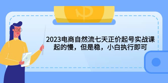 2023电商自然流七天正价起号实战课：起的慢，但是稳，小白执行即可即刻搞钱-网创项目资源站-副业项目-创业项目-搞钱项目即刻搞钱