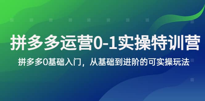 拼多多-运营0-1实操训练营，拼多多0基础入门，从基础到进阶的可实操玩法即刻搞钱-网创项目资源站-副业项目-创业项目-搞钱项目即刻搞钱
