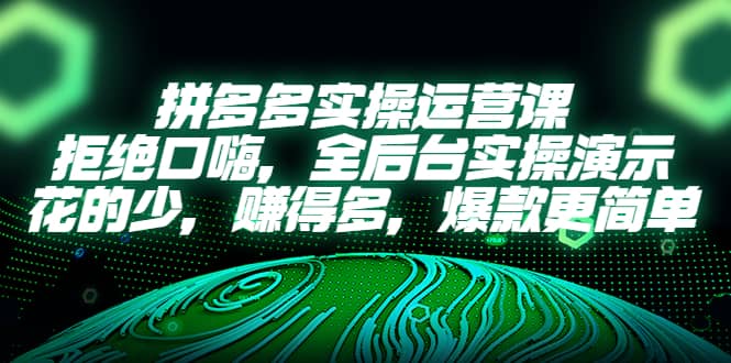 拼多多实操运营课：拒绝口嗨，全后台实操演示，花的少，赚得多，爆款更简单即刻搞钱-网创项目资源站-副业项目-创业项目-搞钱项目即刻搞钱