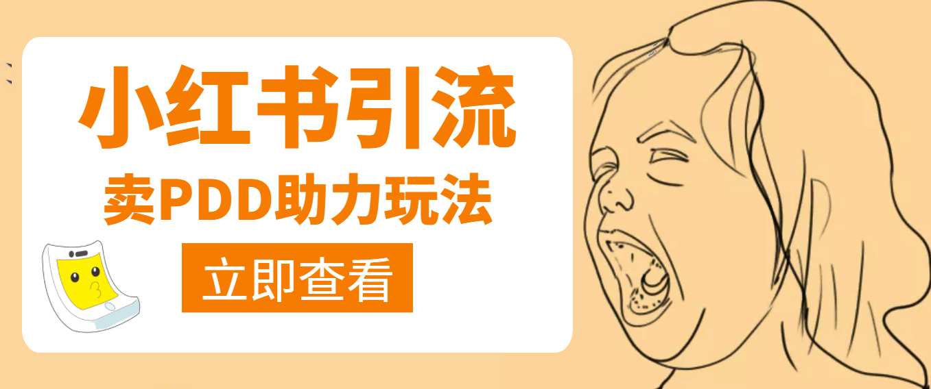 利用小红书卖拼多多助力即刻搞钱-网创项目资源站-副业项目-创业项目-搞钱项目即刻搞钱