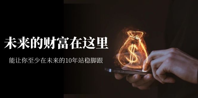 某收费文章《未来的财富在这里》能让你至少在未来的10年站稳脚跟即刻搞钱-网创项目资源站-副业项目-创业项目-搞钱项目即刻搞钱