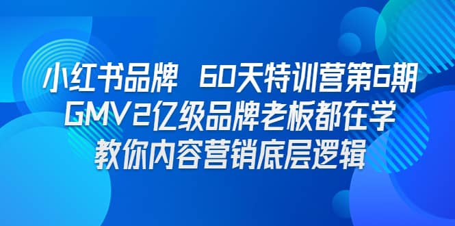 小红书品牌 60天特训营第6期 GMV2亿级品牌老板都在学 教你内容营销底层逻辑即刻搞钱-网创项目资源站-副业项目-创业项目-搞钱项目即刻搞钱