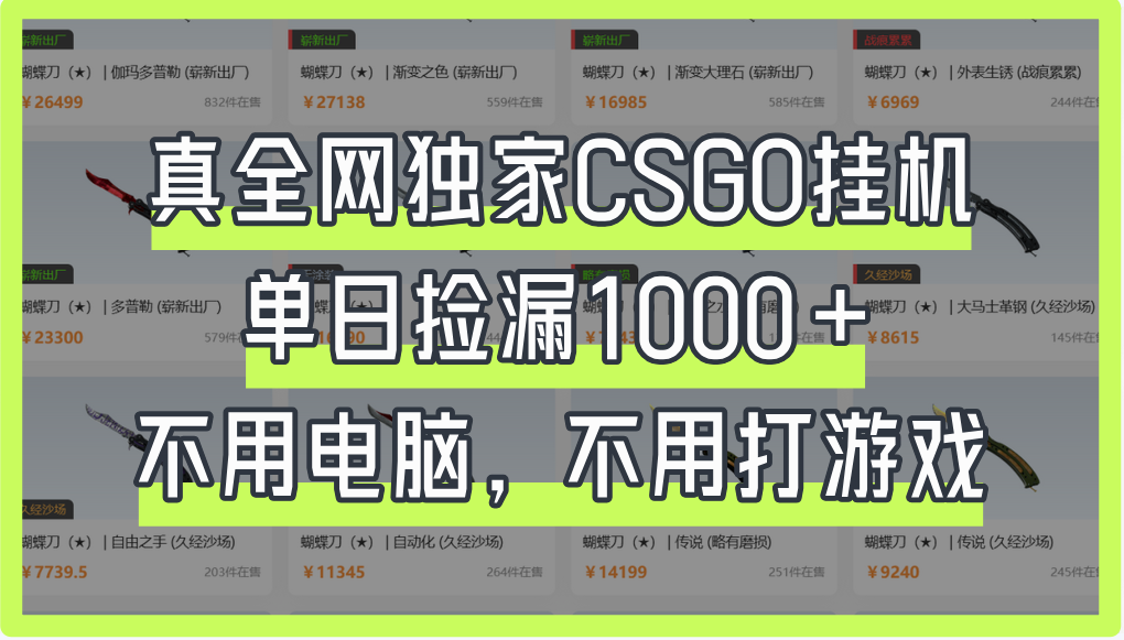 真全网独家CSGO挂机，单日捡漏1000+即刻搞钱-网创项目资源站-副业项目-创业项目-搞钱项目即刻搞钱