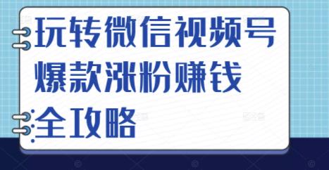 玩转微信视频号爆款涨粉赚钱全攻略，让你快速抓住流量风口，收获红利财富即刻搞钱-网创项目资源站-副业项目-创业项目-搞钱项目即刻搞钱