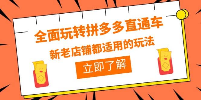 全面玩转拼多多直通车，新老店铺都适用的玩法（12节精华课）即刻搞钱-网创项目资源站-副业项目-创业项目-搞钱项目即刻搞钱