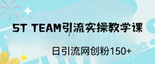 ST TEAM引流实操课，日引流网创粉100+即刻搞钱-网创项目资源站-副业项目-创业项目-搞钱项目即刻搞钱
