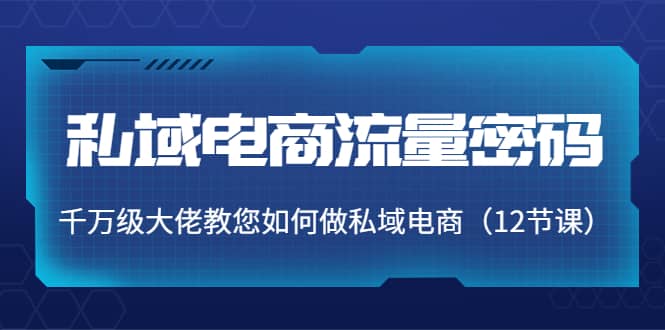 私域电商流量密码：千万级大佬教您如何做私域电商（12节课）即刻搞钱-网创项目资源站-副业项目-创业项目-搞钱项目即刻搞钱