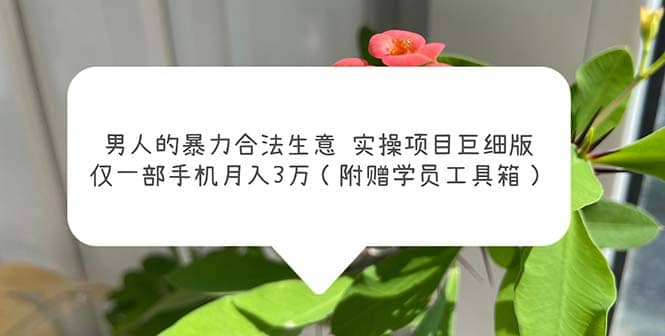 男人的暴力合法生意实操项目巨细版：仅一部手机月入3w（附赠学员工具箱）即刻搞钱-网创项目资源站-副业项目-创业项目-搞钱项目即刻搞钱