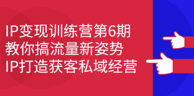 IP变现训练营第6期：教你搞流量新姿势，IP打造获客私域经营即刻搞钱-网创项目资源站-副业项目-创业项目-搞钱项目即刻搞钱