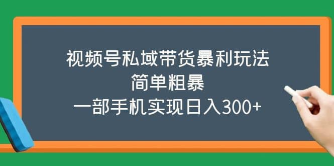 视频号私域带货暴利玩法，简单粗暴即刻搞钱-网创项目资源站-副业项目-创业项目-搞钱项目即刻搞钱