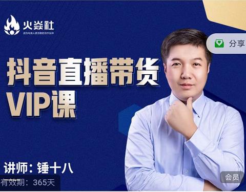 锤十八-抖音直播带货VIP课，专注直播带货有效盈利模式即刻搞钱-网创项目资源站-副业项目-创业项目-搞钱项目即刻搞钱