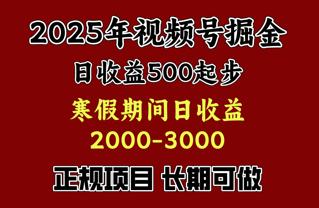 寒假期间一天收益2000+，小白一天就能上手即刻搞钱-网创项目资源站-副业项目-创业项目-搞钱项目即刻搞钱