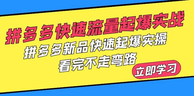 拼多多-快速流量起爆实战，拼多多新品快速起爆实操，看完不走弯路即刻搞钱-网创项目资源站-副业项目-创业项目-搞钱项目即刻搞钱