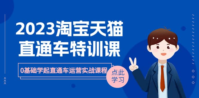 2023淘宝·天猫直通车评特训课，0基础学起直通车运营实战课程（8节课时）即刻搞钱-网创项目资源站-副业项目-创业项目-搞钱项目即刻搞钱
