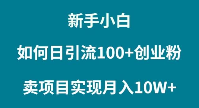 新手小白如何通过卖项目实现月入10W+即刻搞钱-网创项目资源站-副业项目-创业项目-搞钱项目即刻搞钱