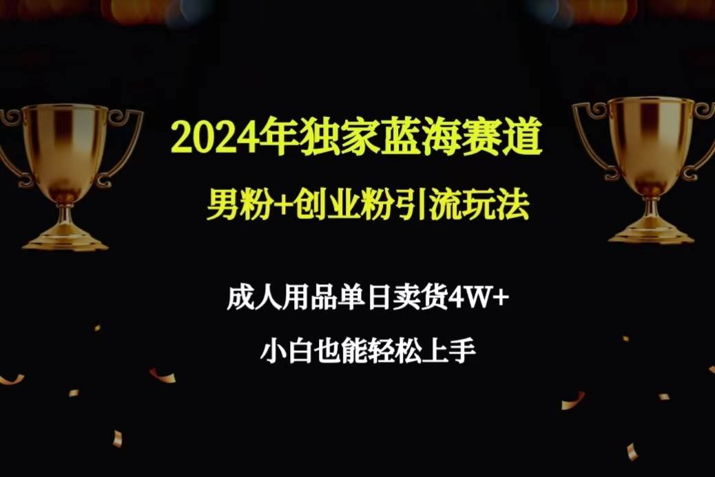 2024年独家蓝海赛道男粉+创业粉引流玩法，成人用品单日卖货4W+保姆教程即刻搞钱-网创项目资源站-副业项目-创业项目-搞钱项目即刻搞钱