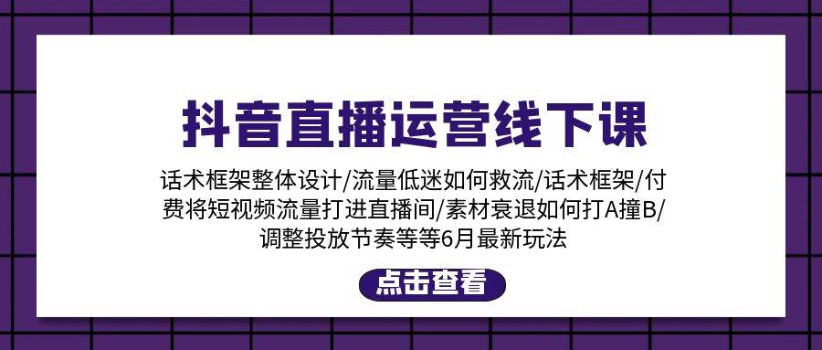 抖音直播运营线下课：话术框架/付费流量直播间/素材A撞B/等6月新玩法即刻搞钱-网创项目资源站-副业项目-创业项目-搞钱项目即刻搞钱