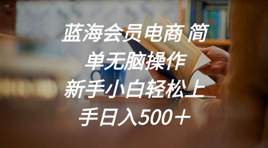 蓝海会员电商 简单无脑操作 新手小白轻松上手日入500＋即刻搞钱-网创项目资源站-副业项目-创业项目-搞钱项目即刻搞钱