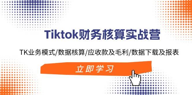 Tiktok财务核算实战营：TK业务模式/数据核算/应收款及毛利/数据下载及报表即刻搞钱-网创项目资源站-副业项目-创业项目-搞钱项目即刻搞钱