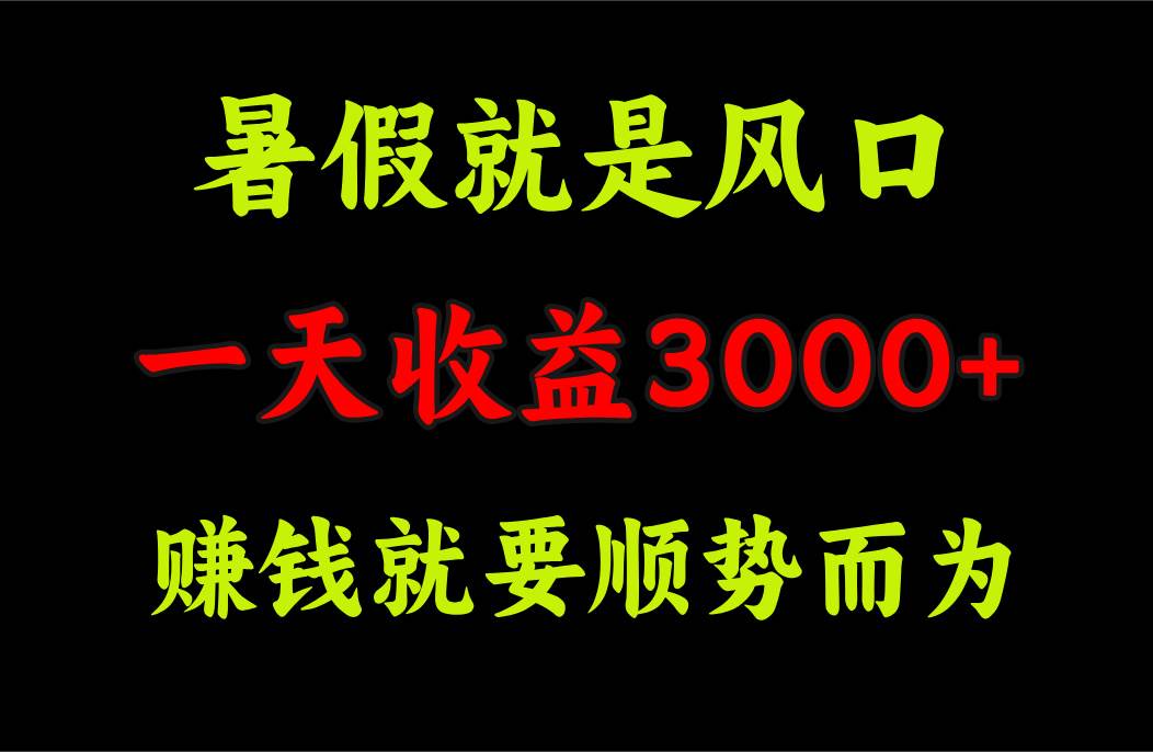 一天收益3000+ 赚钱就是顺势而为，暑假就是风口即刻搞钱-网创项目资源站-副业项目-创业项目-搞钱项目即刻搞钱
