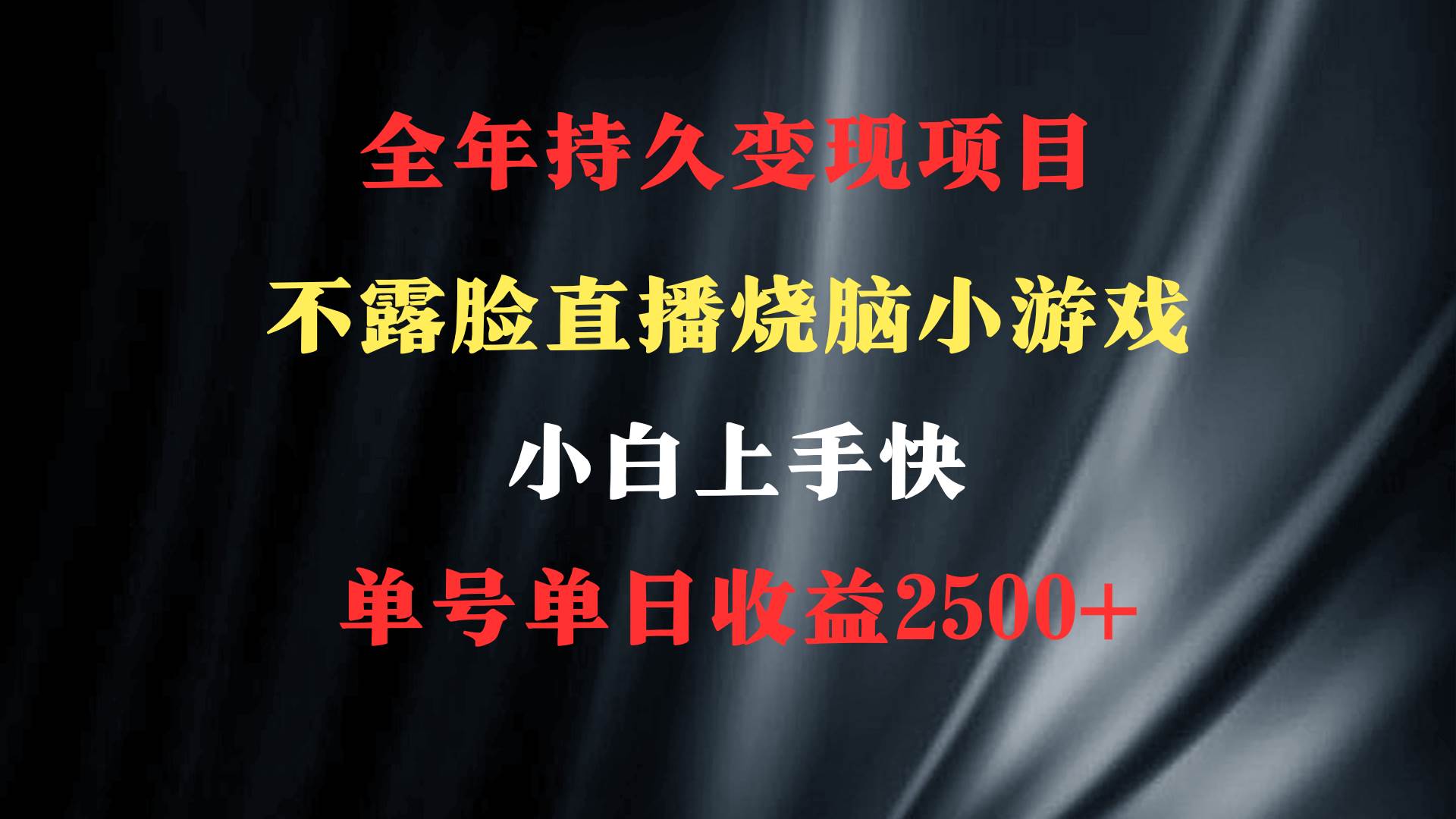 2024年 最优项目，烧脑小游戏不露脸直播  小白上手快 无门槛 一天收益2500+即刻搞钱-网创项目资源站-副业项目-创业项目-搞钱项目即刻搞钱