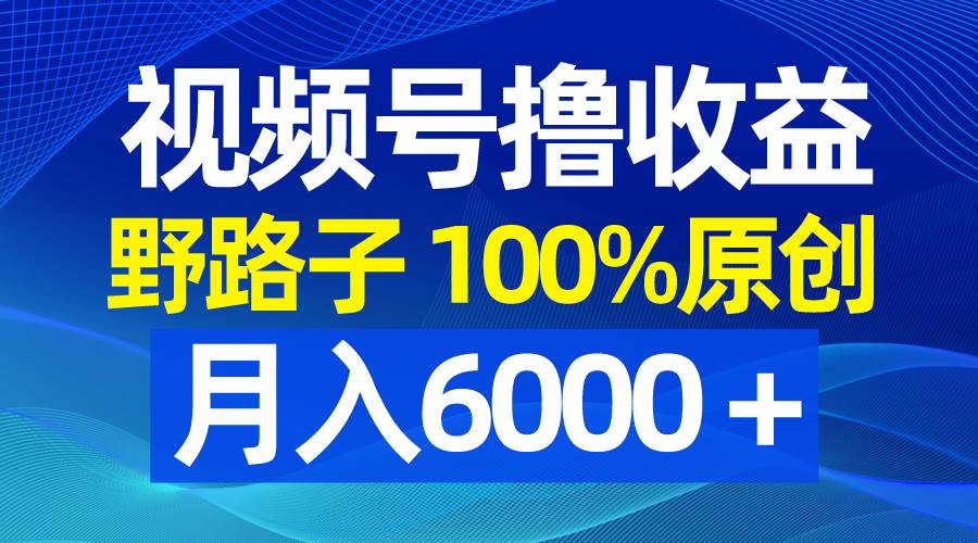 视频号野路子撸收益，100%原创，条条爆款，月入6000＋即刻搞钱-网创项目资源站-副业项目-创业项目-搞钱项目即刻搞钱