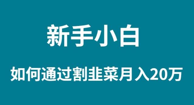 新手小白如何通过割韭菜月入 20W即刻搞钱-网创项目资源站-副业项目-创业项目-搞钱项目即刻搞钱