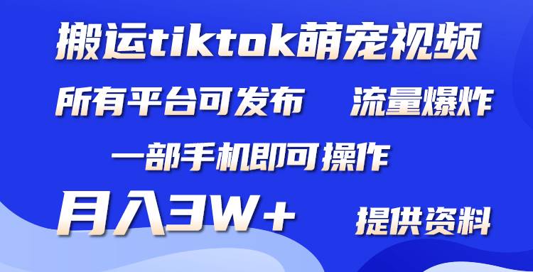 搬运Tiktok萌宠类视频，一部手机即可。所有短视频平台均可操作，月入3W+即刻搞钱-网创项目资源站-副业项目-创业项目-搞钱项目即刻搞钱