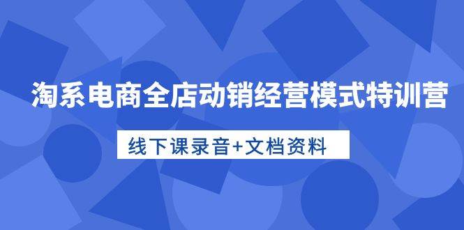 淘系电商全店动销经营模式特训营，线下课录音+文档资料即刻搞钱-网创项目资源站-副业项目-创业项目-搞钱项目即刻搞钱