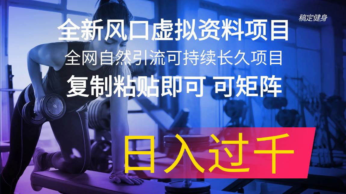 全新风口虚拟资料项目 全网自然引流可持续长久项目 复制粘贴即可可矩阵…即刻搞钱-网创项目资源站-副业项目-创业项目-搞钱项目即刻搞钱