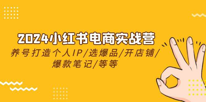 2024小红书电商实战营，养号打造IP/选爆品/开店铺/爆款笔记/等等（24节）即刻搞钱-网创项目资源站-副业项目-创业项目-搞钱项目即刻搞钱