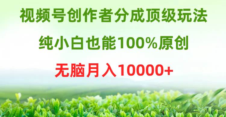 视频号创作者分成顶级玩法，纯小白也能100%原创，无脑月入10000+即刻搞钱-网创项目资源站-副业项目-创业项目-搞钱项目即刻搞钱