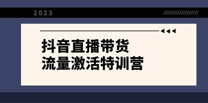 抖音直播带货-流量激活特训营，入行新手小白主播必学（21节课+资料）即刻搞钱-网创项目资源站-副业项目-创业项目-搞钱项目即刻搞钱