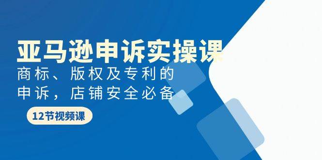 亚马逊-申诉实战课，商标、版权及专利的申诉，店铺安全必备即刻搞钱-网创项目资源站-副业项目-创业项目-搞钱项目即刻搞钱