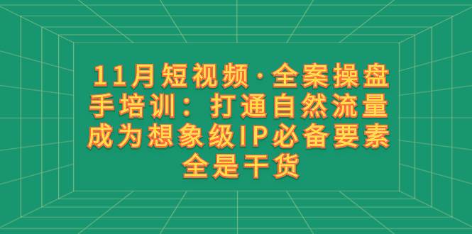 11月短视频·全案操盘手培训：打通自然流量 成为想象级IP必备要素 全是干货即刻搞钱-网创项目资源站-副业项目-创业项目-搞钱项目即刻搞钱