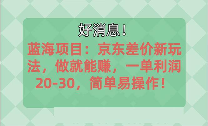 越早知道越能赚到钱的蓝海项目：京东大平台操作，一单利润20-30，简单…即刻搞钱-网创项目资源站-副业项目-创业项目-搞钱项目即刻搞钱