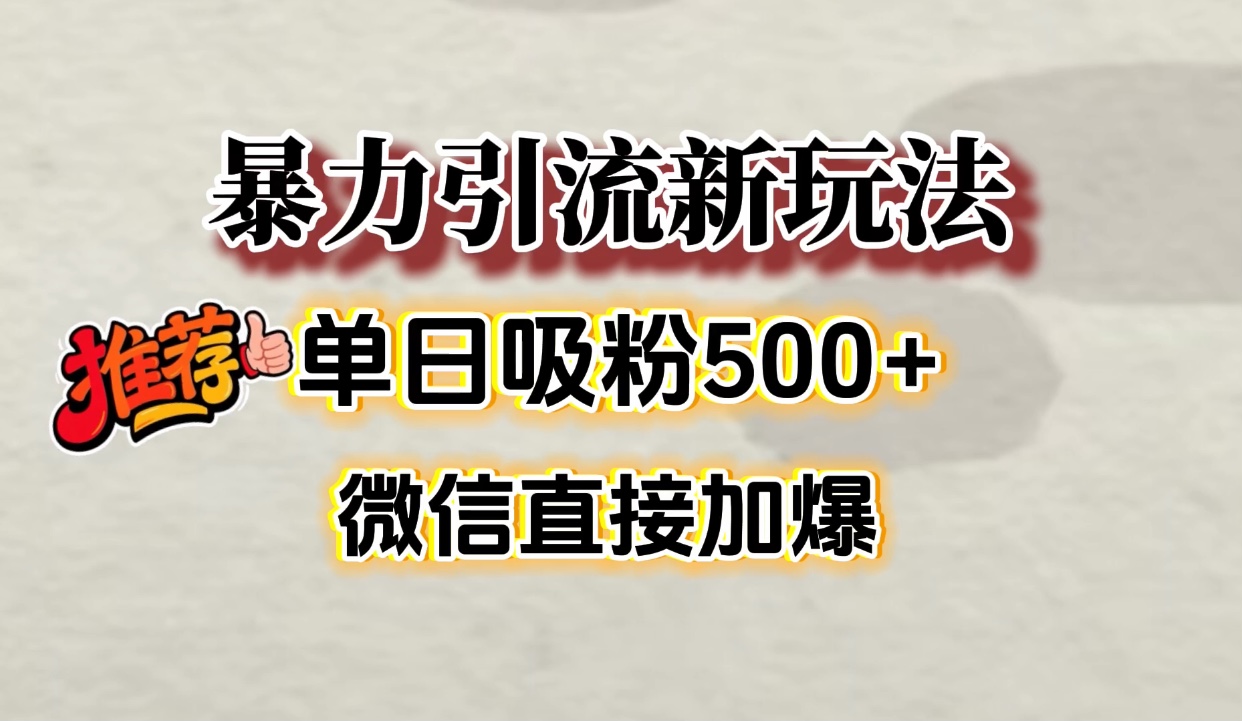 微信加爆的引流超级方法，单日吸粉500➕即刻搞钱-网创项目资源站-副业项目-创业项目-搞钱项目即刻搞钱