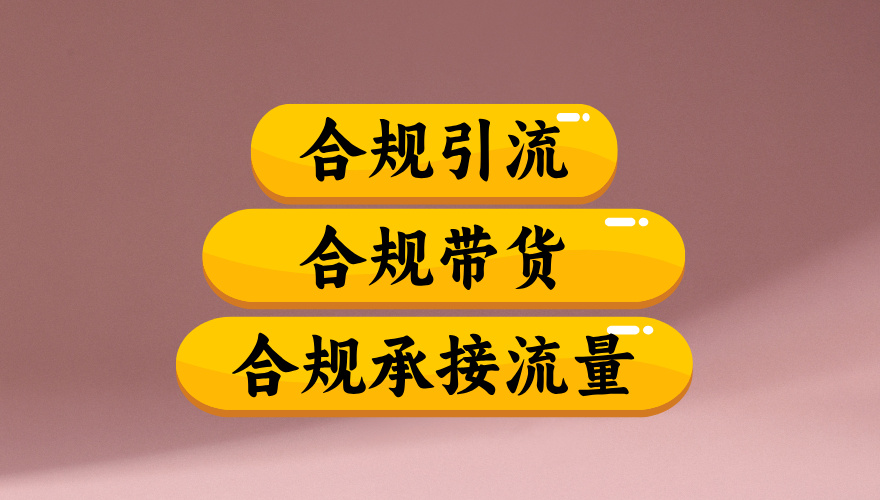 合规引流、合规并且高效地做带货、合规承接流量（揭秘）即刻搞钱-网创项目资源站-副业项目-创业项目-搞钱项目即刻搞钱